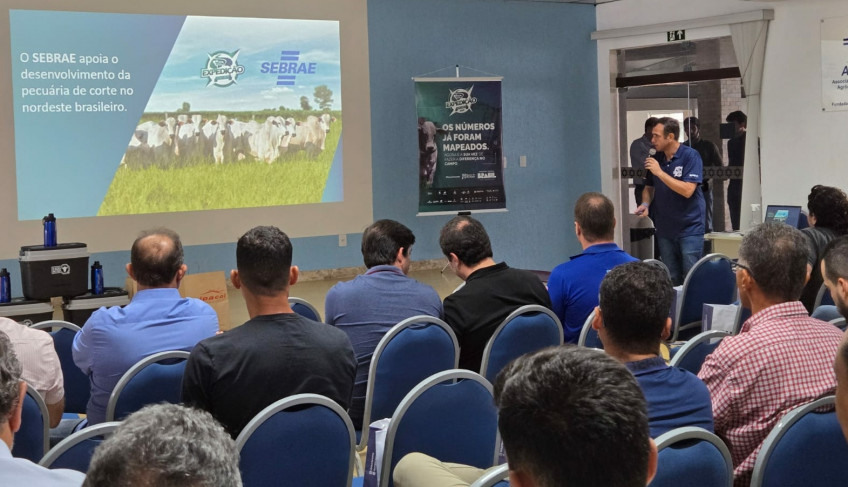 ASN Sergipe - Agência Sebrae de Notícias
