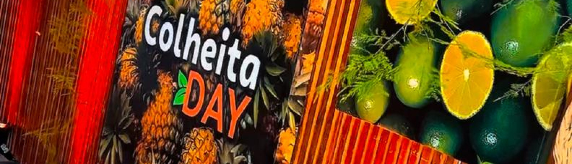 ASN Sergipe - Agência Sebrae de Notícias