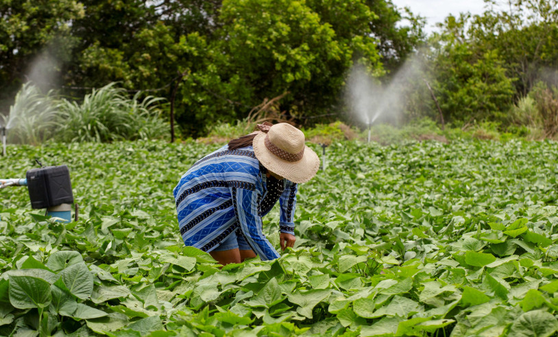 ASN Sergipe - Agência Sebrae de Notícias
