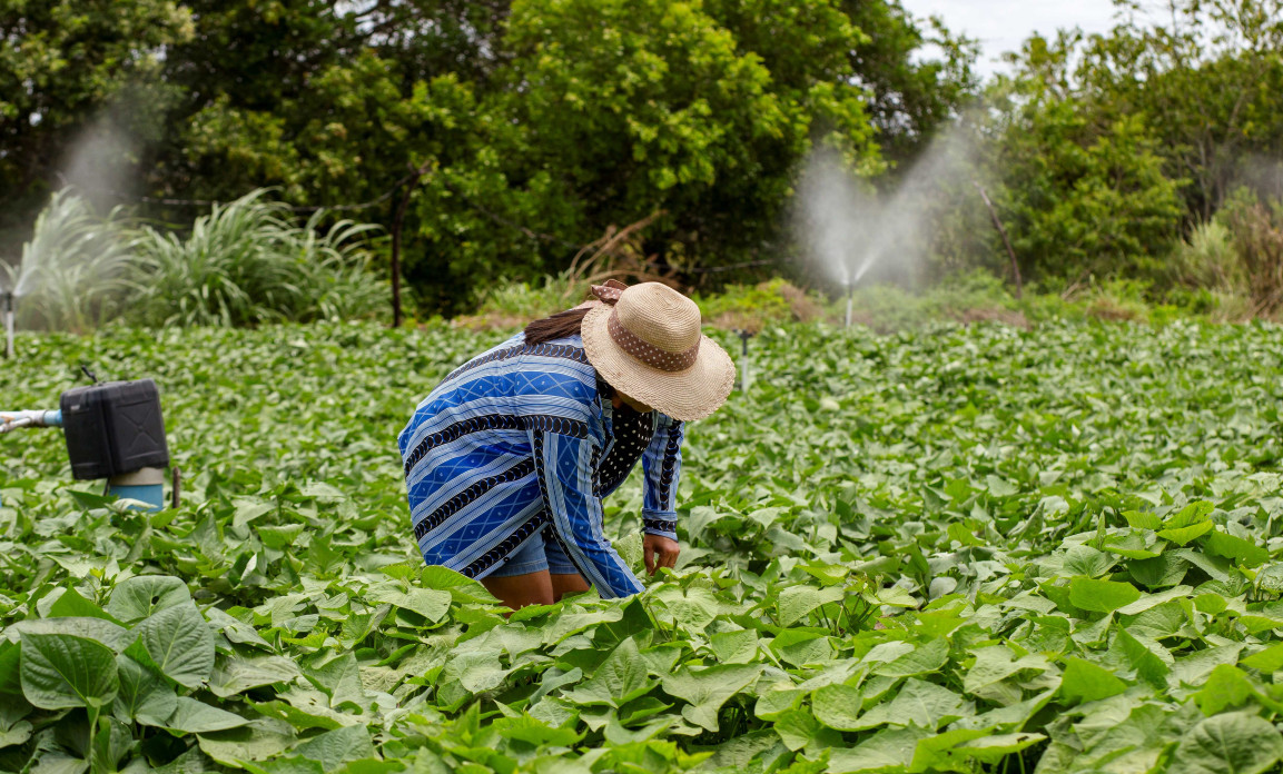 ASN Sergipe - Agência Sebrae de Notícias