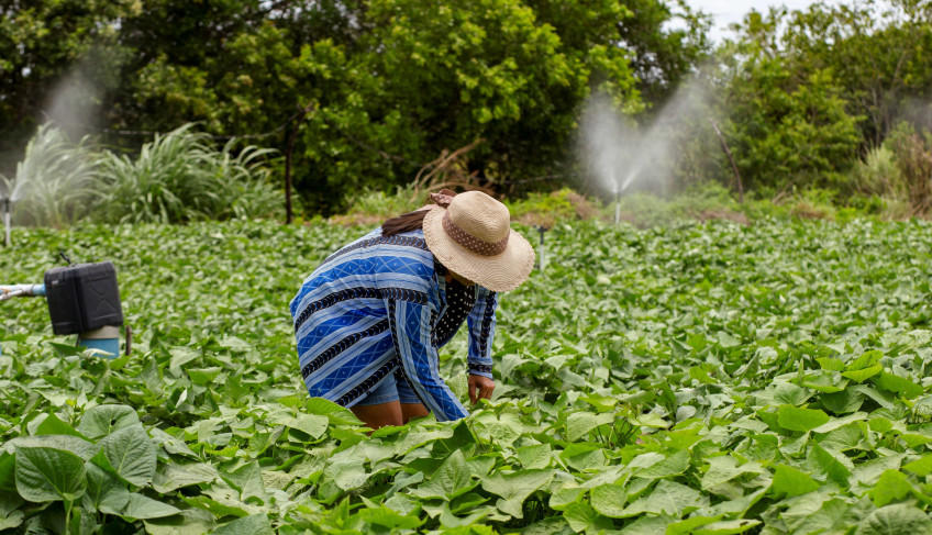 ASN Sergipe - Agência Sebrae de Notícias